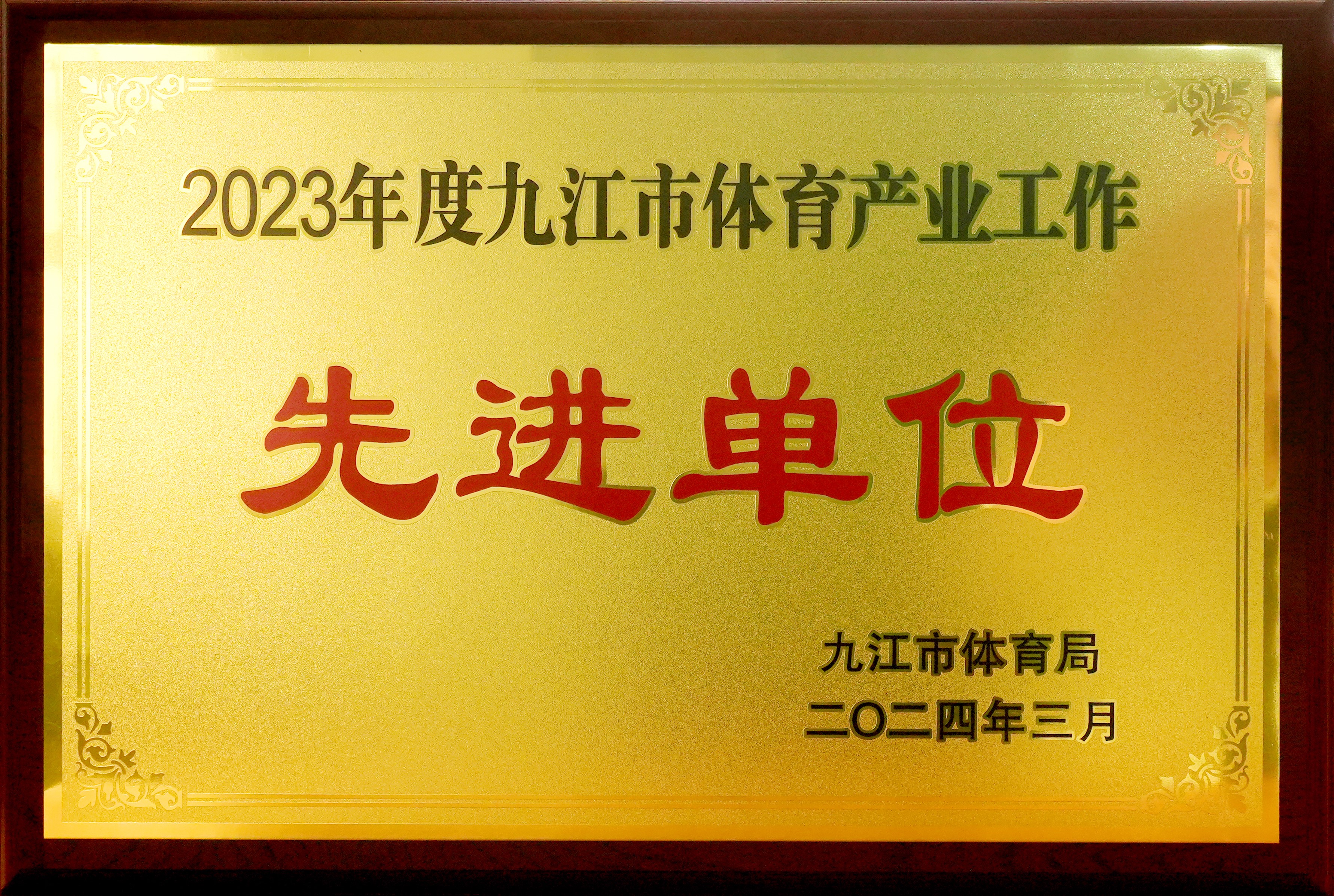 2023年度九江市體育產業(yè)工作先進單位